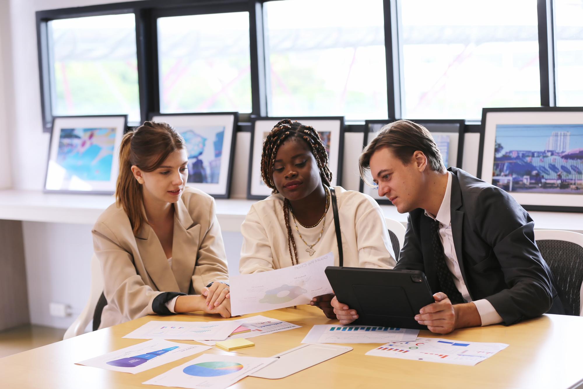 Compliance and governance system safeguarding organizational assets and operational stability
